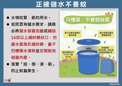 正確儲水不養蚊防治登革熱