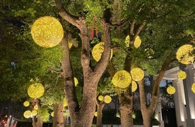 01-你我一起點亮臺中-中市行道樹121起免費懸掛燈飾-打造最美節慶城市