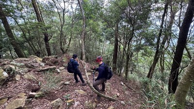 中級山步道地形複雜-易因誤判導致事故